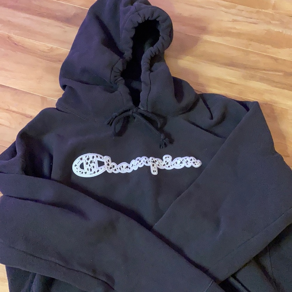 DALMATIAN CHAMPION HOODIE